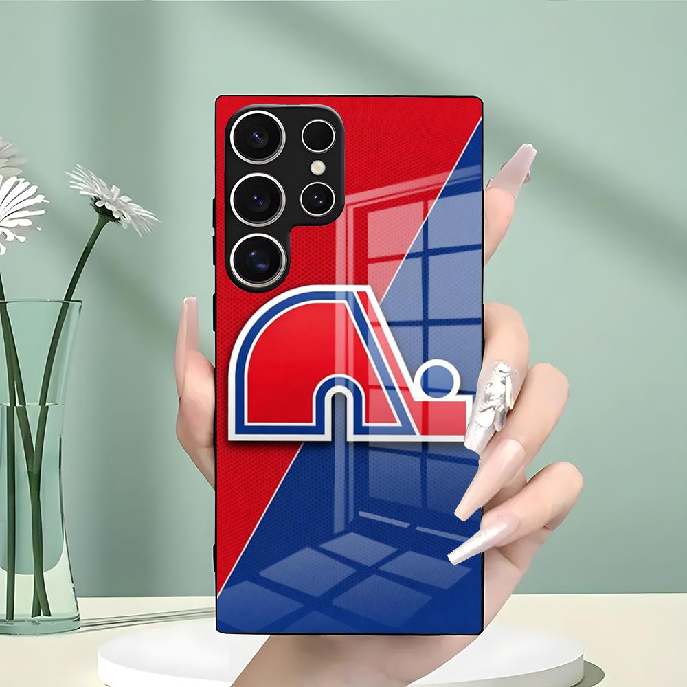 Q-QueBecES Custodia per telefo - Phone Cases Quebec recensione e prezzo